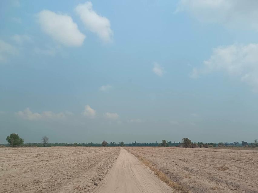 ที่ดิน 89 ไร่ ไร่ละ 170,000 2