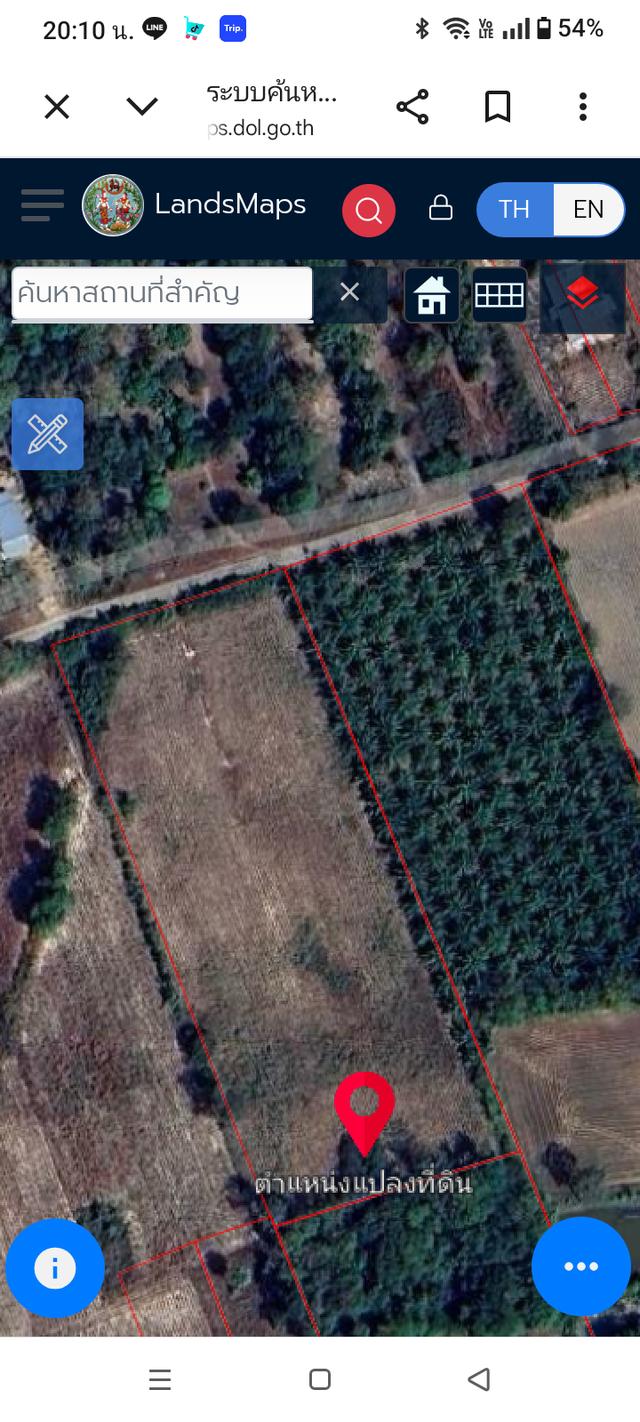 ​"ขายด่วน! ที่ดินโฉนดครุฑแดง 5 ไร่ (ปลอดภาระ) อ.ชานุมาน จ.อำนาจเจริญ ใกล้ รพ.ชานุมาน" 6