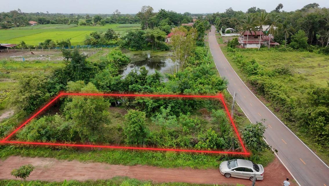 ขายที่ดินโฉนด อ.ทุ่งฝน เนื้อที่ 105 ตรว. 2