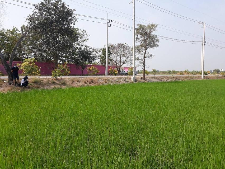 ขายที่ดิน 14 ไร่ 3 งาน 63 ตารางวา ปทุมธานี บางเตย สามโคก ติดสนามยิงปืนราชสีห์ 1