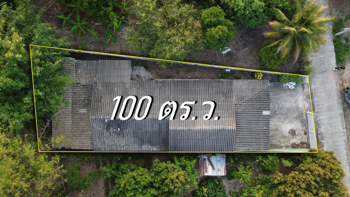 บ้านพร้อมที่ดิน 100 ตร.ว. 3 ห้องนอน 2 ห้องน้ำ ห้วยทราย สันกำแพง 3