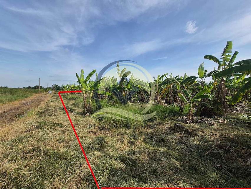 ขาย ที่ดินเปล่า 1-1-33 ไร่ ( 533 ตร.ว. ) ซ.บึงบอน 11 ถ.รังสิต-นครนายก  จ.ปทุมธานี  10