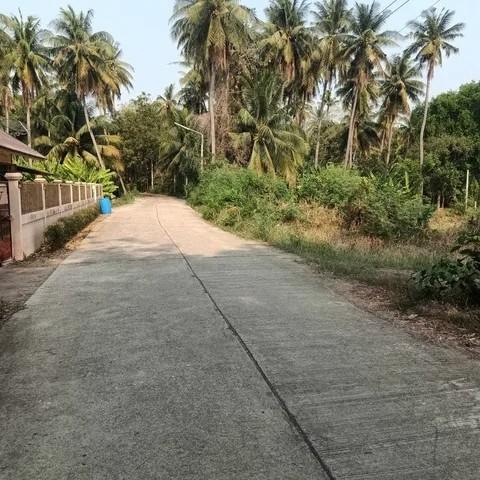 ขาย ที่ดินเปล่า 150 ตร.วา ทำเลดี ราคาคุ้ม ตำบลสร้อยฟ้า อำเภอโพธาราม จังหวัดราชบุรี 8