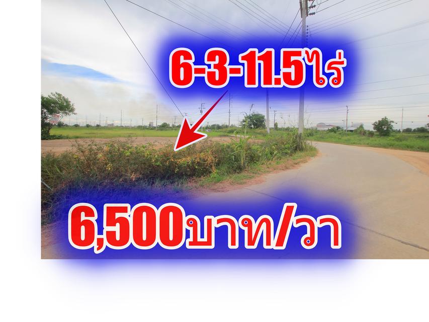 ขายที่ดินบางไทรพระนครศรีอยุธยา ถนนปทุมธานีสามโคกเสนา ที่ดินถมแล้ว 6-3-11.5ไร่ ใกล้นิคมบ้านแพน ที่ดินสร้างบ้าน หอพัก โกดังเก็บสินค้า ศูนย์กระจายสินค้า