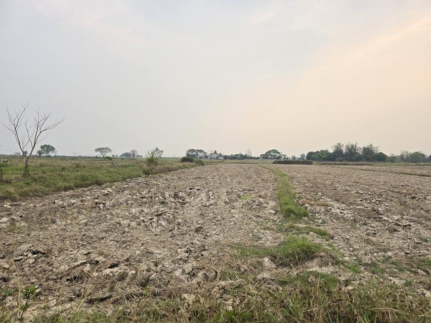 ที่ดินสวยทำเลดีใกล้กว๊านพะเยา 7