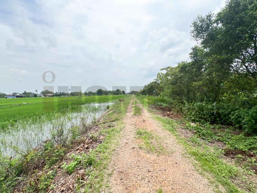 ขาย ที่ดินจัดสรร ลำลูกกา คลอง16 องครักษ์ 11