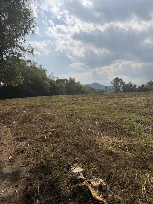 ที่ดินแปลงใหญ่ ติดถนนหลวง 118 เชียงใหม่–เชียงราย (แม่ขะจาน) 32 ไร่ 1 งาน 92 ตร.วา 8