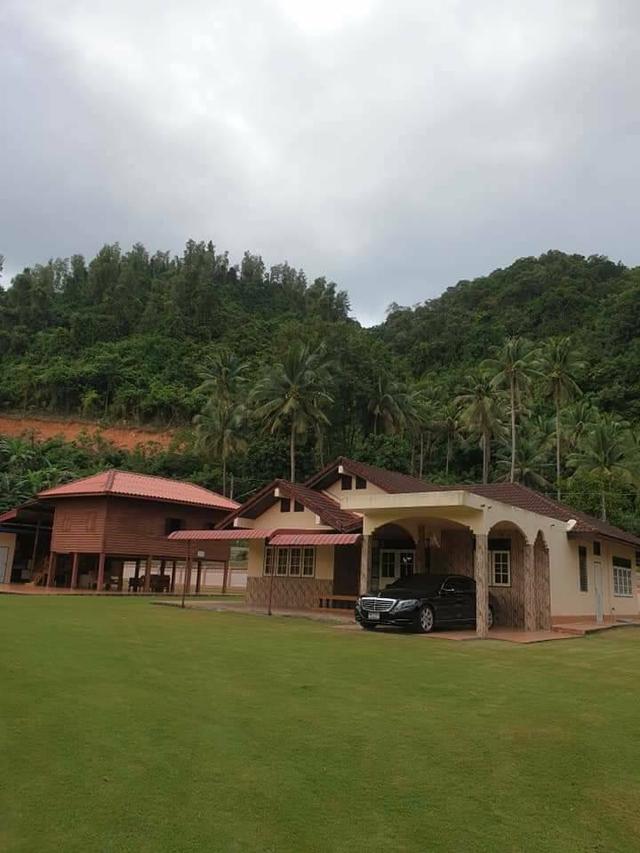 ขายที่ดินสวย ทำเลดี ติดทะเล ติดภูเขา 11 ไร่ ปากน้ำ ชุมพร 4