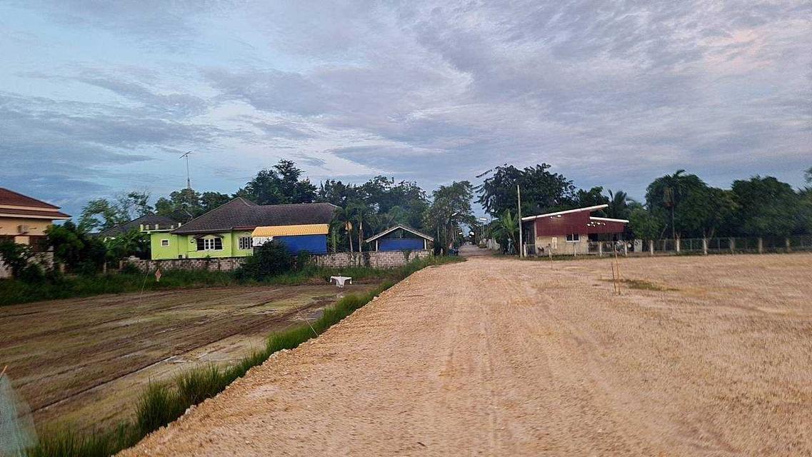 ขายที่ดินสวย ตำบลบ้านหม้อ จังหวัดเพชรบุรี 130 ตร.ว./แปลง ติดถนน 1326 6