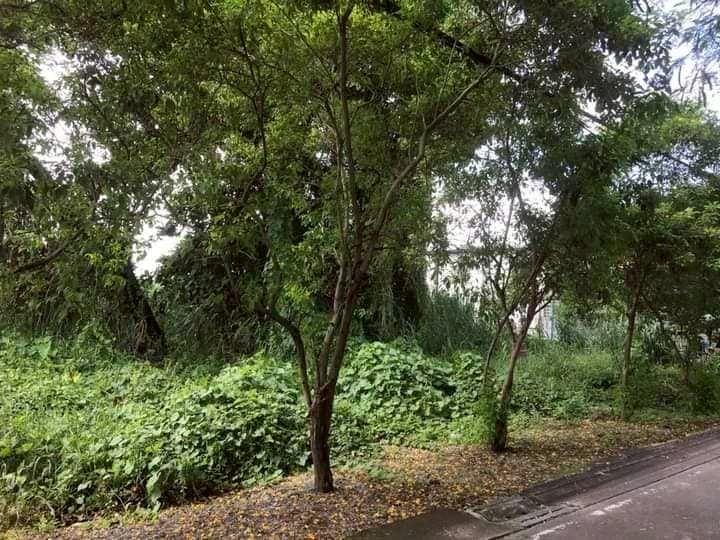 ที่ดิน 4