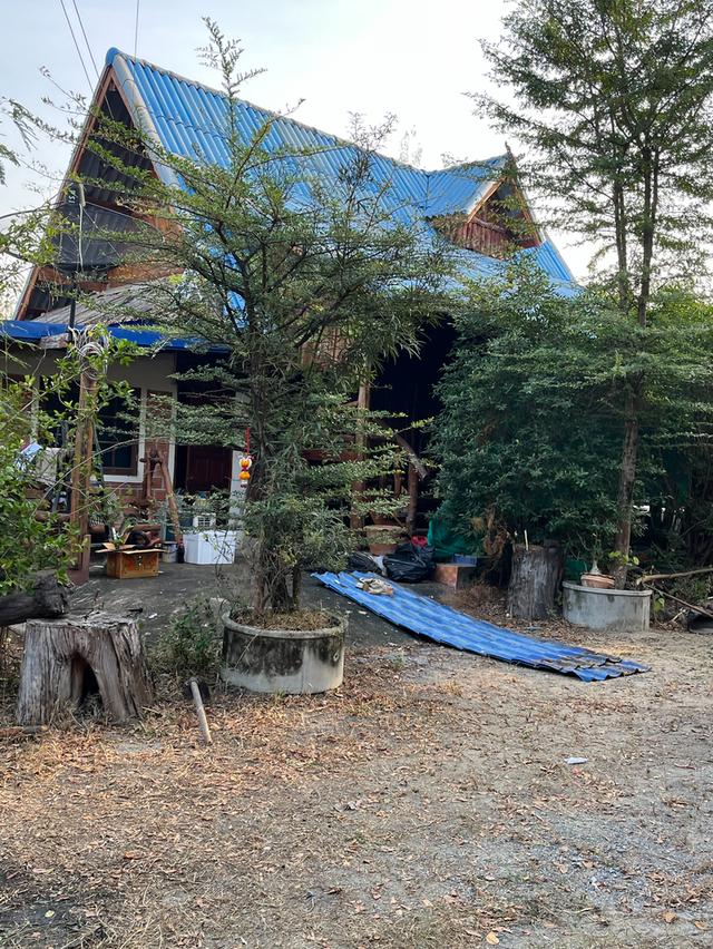 บ้านพร้อมที่ดิน 5 ไร่ 3 งาน ต.สระกระโจม สุพรรณบุรี 5