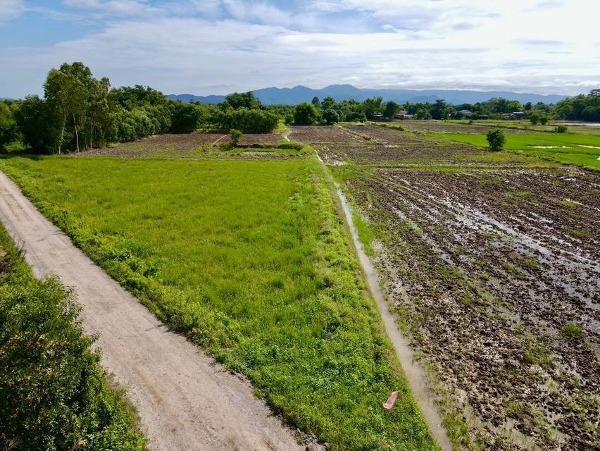 ที่ดินเงินสด ต.อาษา อ.บ้านนา จ.นครนายก 10