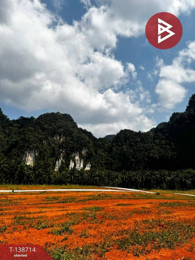 ขายที่ดิน แบ่งขาย เนื้อที่ 9 ไร่ ตำบลไสไทย เมืองกระบี่ จังหวัดกระบี่ ( วิวภูเขา )