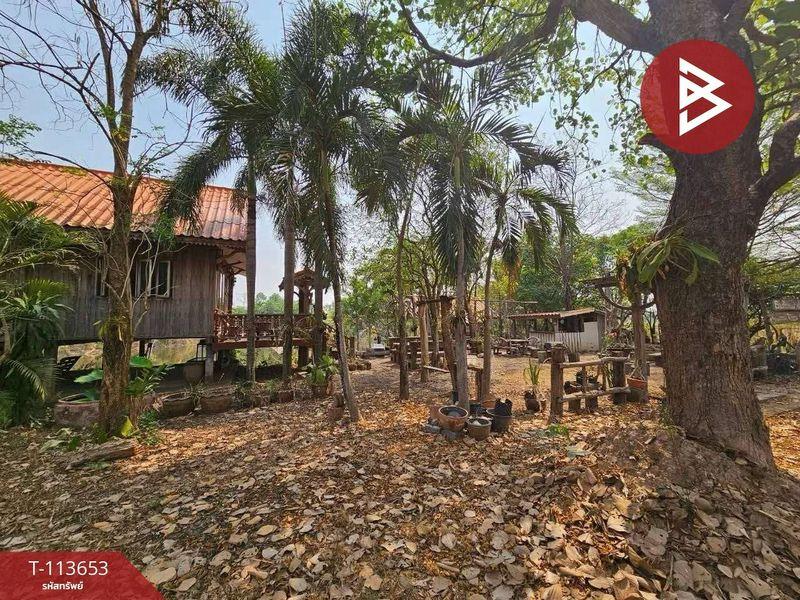 ขายที่ดินพร้อมสิ่งปลูกสร้าง ติดถนนใหญ่ เนื้อที่ 12 ไร่ 2 งาน 79.0 ตารางวา ถนนทางหลวงชนบท ตำบลหมากแข้ง เมืองอุดรธานี 10