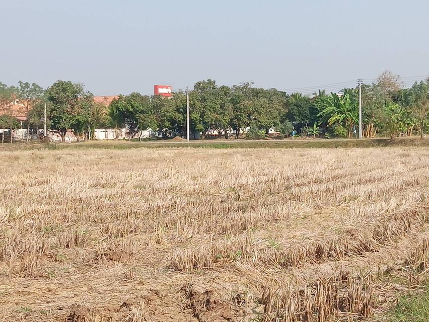 ขายที่ดิน แบ่ง 3 แปลง เจ้าของขายเอง 91 ตารางวา ขอนแก่น 10