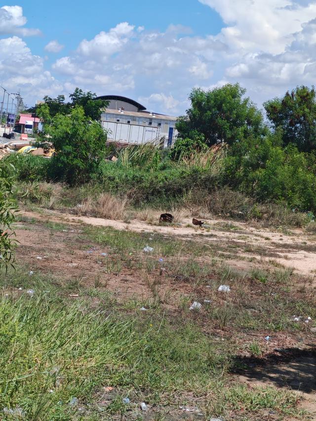 ขายที่ดิน2ไร่อยู่บ้านระกาศ​จังหวัดสมุทรปราการ​ 10