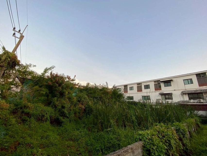 Vายถูกที่ดินใกล้รถไฟฟ้า 100 ตารางวา ซอย รามอินทรา 62 เขตบางกะปิ กรุงเทพมหานคร 6