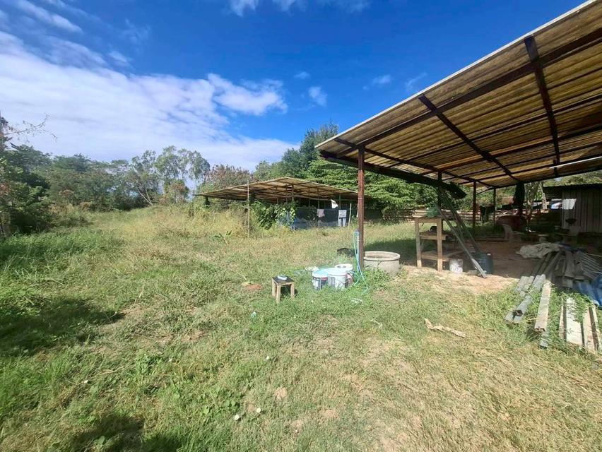 ขายบ้านชั้นเดียวพร้อมที่ดินเนื้อที่เยอะ บ้านห้วยกลางนาหมู่ 2 หนองแค สระบุรี 5