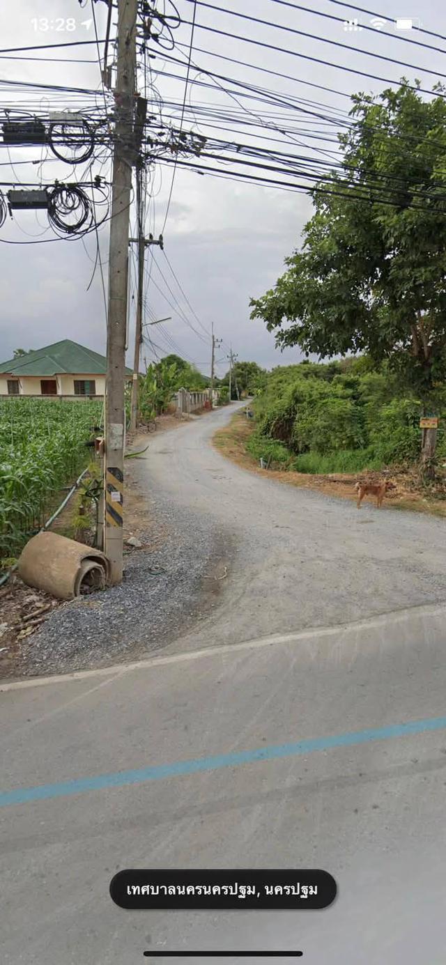 ขายที่ดิน 4ไร่ (โฉนด) ครุฑแดง ข้างอนามัยนาสร้าง 5
