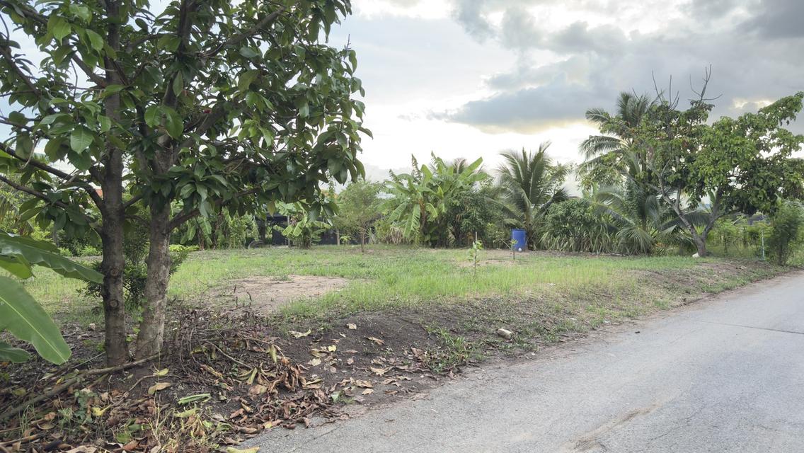 ขายที่ดินเปล่า 130 ตรม. เพชรเกษม110 4