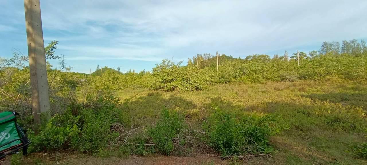 ขายที่ดินใกล้ทะเลห่าง800ม. 1