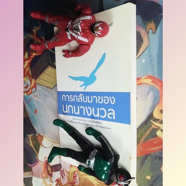การกลับมาของนกนางนวล : วุฐิศานติ์ จันทร์วิบูล (นวนิยาย)