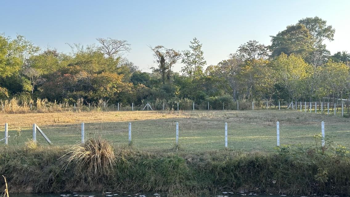 ที่สวยมาก 2ไร่ติดขอบคันอ่างเก็บน้ำลงแม่น้ำมูล ที่ดินหันหน้าหาน้ำ น้ำไฟสะดวก เหมาะทำบ้านสวน รีสอร์ท บ้านหลังเกษียณ หรือทำการเกษตรถนนปูนซ้ายขวาของที่ดิน 4