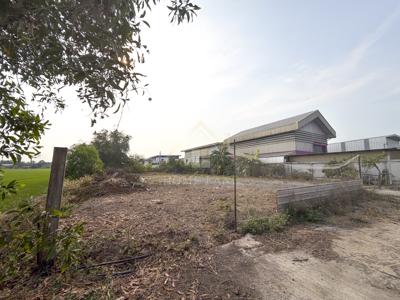 ที่ดินเปล่า 126 ตารางวา ไทรน้อย นนทบุรี 3