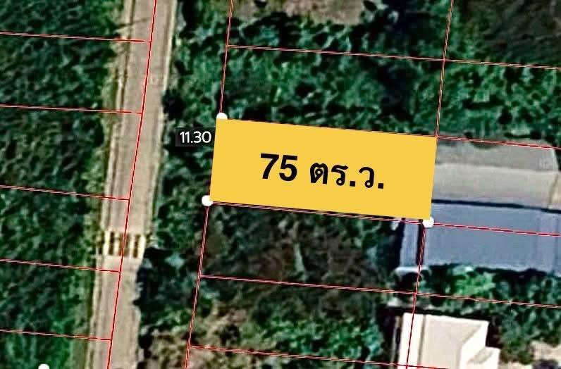 ขายด่วน!! ที่ดินเปล่าถมแล้ว 75 ตร.ว. (ซอยนุ่มประสงค์ 2) ใกล้ ม.มหิดลศาลายา โลตัสบางใหญ่ ทางด่วนประจิมรัถยา ต.ศาลากลาง อ.บางกรวย จ.นนทบุรี 5