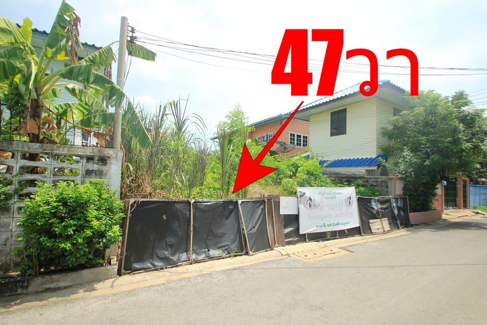 ที่ดินประชาอุทิศ69แยก16-6 สุขสวัสดิ์64 เทคโนบางมด 47ตารางวา ที่ถมแล้ว ที่ดินสร้างบ้าน ใกล้ทางด่วน เซ็นทรัลพระราม2  5