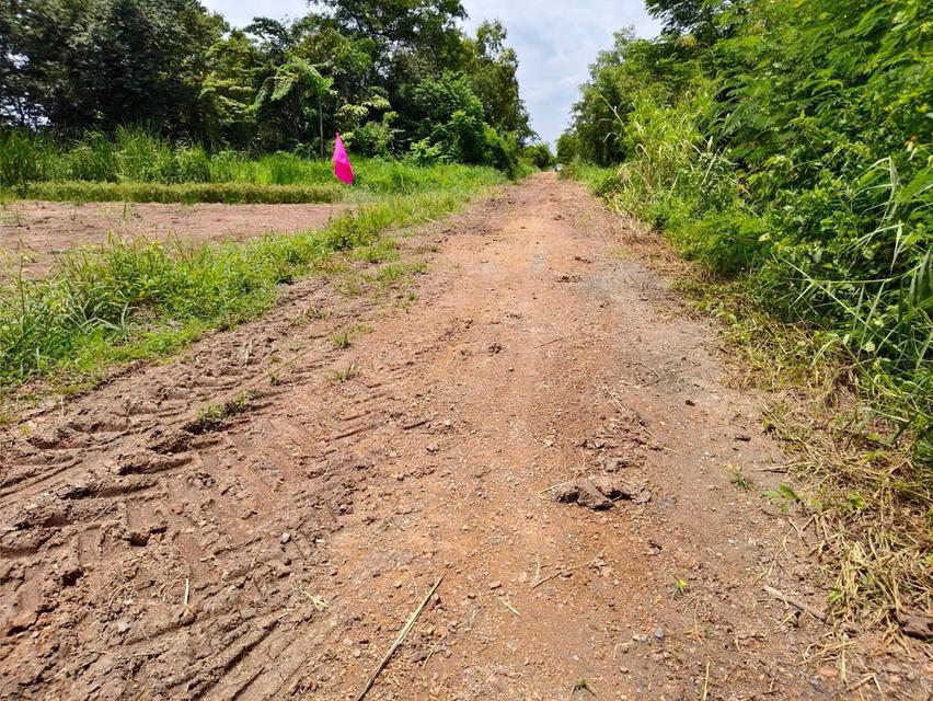 โอกาสมีที่ดินเป็นของตัวเอง คลอง 12 หนองเสือ เริ่มเพียง 360,000 บาท 7