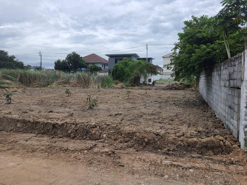 ให้เช่าที่ดินเปล่า 87ตารางวา ถมแล้ว รามอินทรา65 65 1