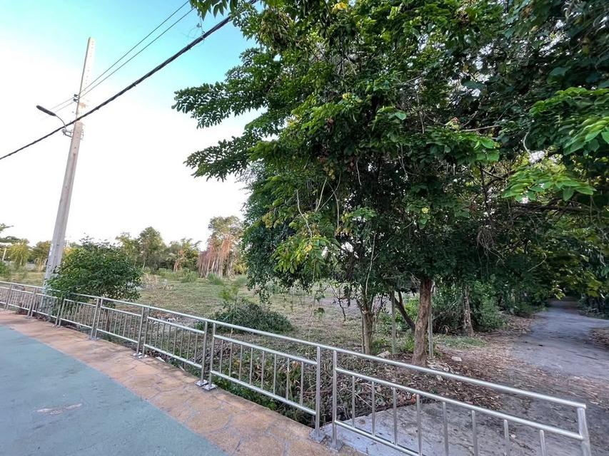 ที่ดินเปล่า บางน้ำผึ้ง 5