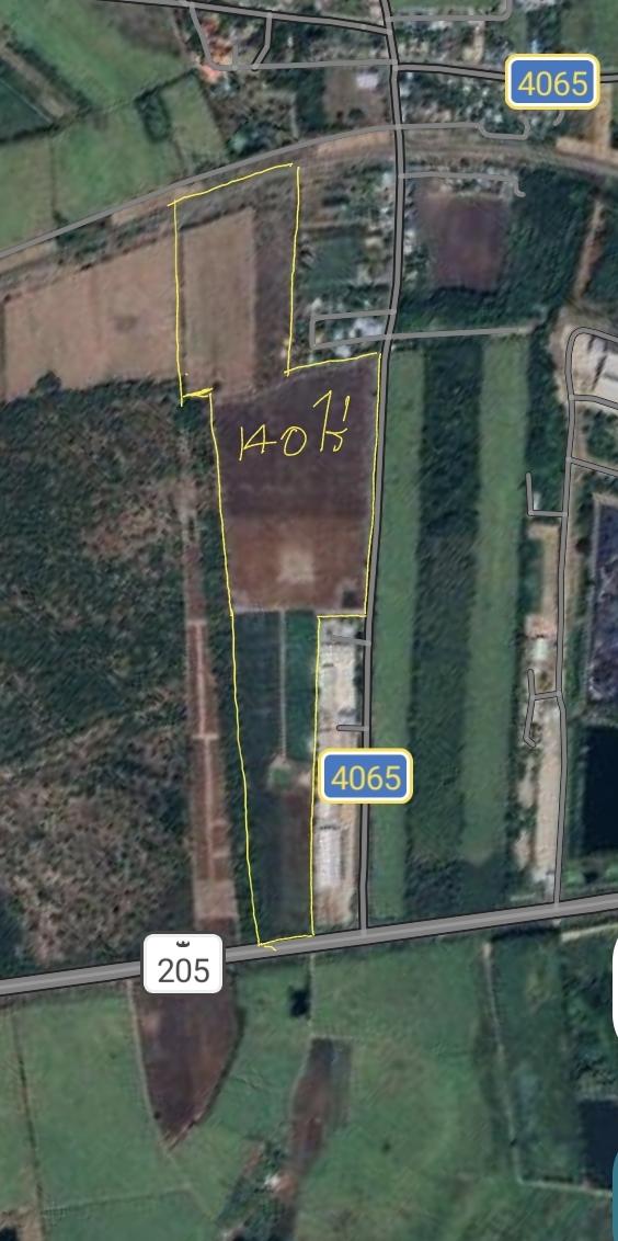 ที่ดิน เปล่า น้ำไม่ท่วม 5