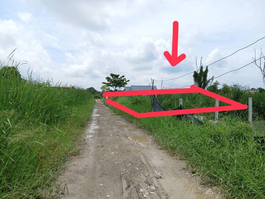 ขายที่ดิน 160 ตารางวา เลียบวาลี 59 ราคาย่อมเยา 2