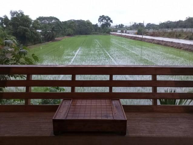 หน้าฝนมีทรัพย์ดีเสดชื่นหัวใจ ให้เช่าบ้านไม้ถ่ายหนังถ่ายละคร MV โฆษณา หนังสั้น คอนเท้นท์ บ้านสวยวิวทุ่งนา ไทรน้อย 0968821 6