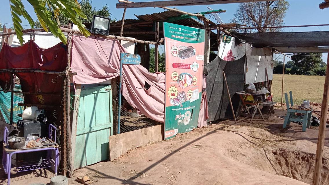 ขายที่ดิน อ.ขามทะเลสอ จ.นครราชสีมา โทร.0816121774 4