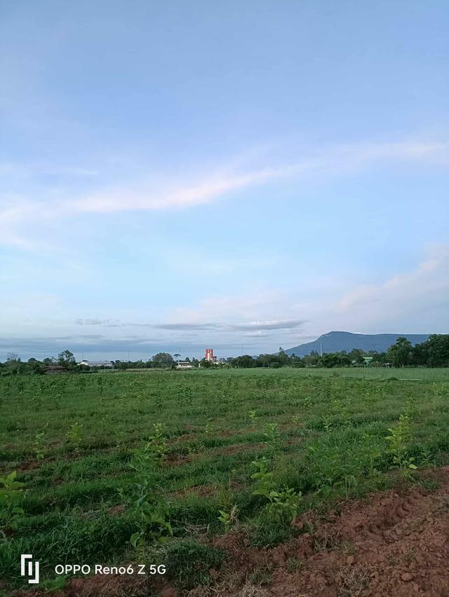 ขายที่แปลงใหญ่ติดถนนระหว่างอำเภอ 11