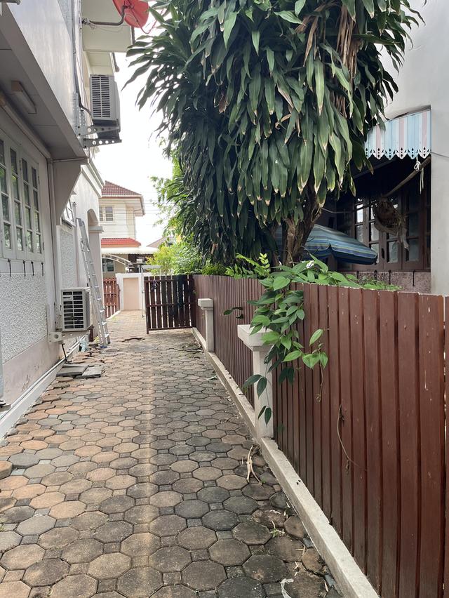 บ้านเดี่ยว