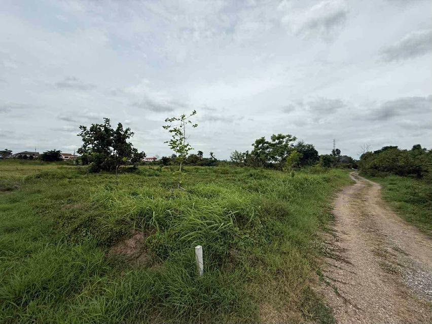 ที่ดิน จังหวัดสระบุรี