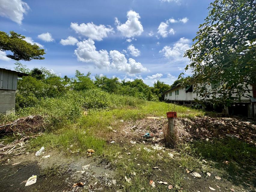 ขายที่ดินซอยลาดกระบัง3 ขนาด 371 ตร.วา (ถนนประชาทร) วิวลำธาร (N.1380) 6