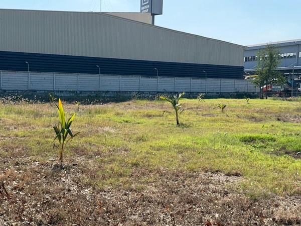 ขายที่ดิน บางนา กม.25 (พื้นที่สีแดง) เนื้อที่ 4 ไร่ 3 ตรว. ติดถนนบางนา-ตราด ฝั่งขาออก โทร 090-6360022 2