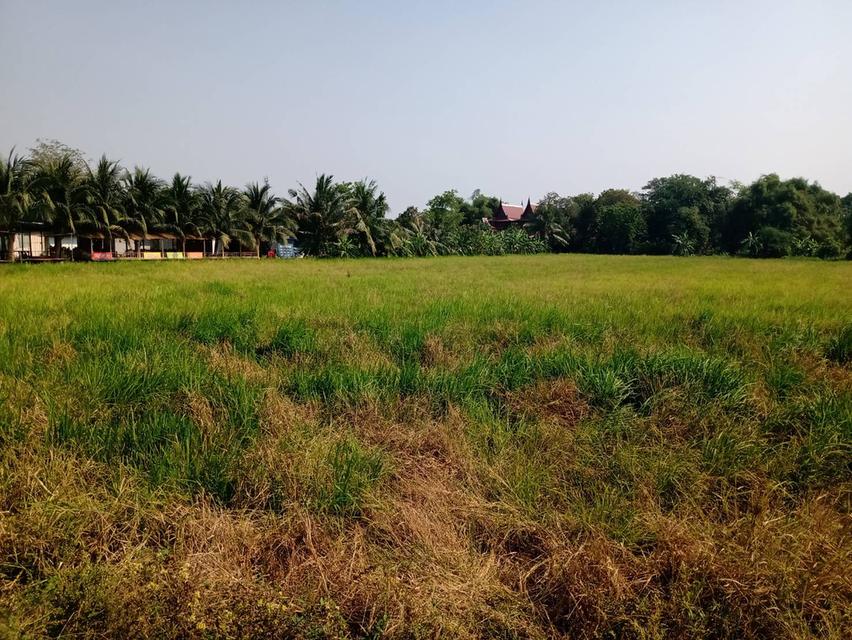 Sale large land about 9,600 sqm.  at Thairaman Road Hathairath 5