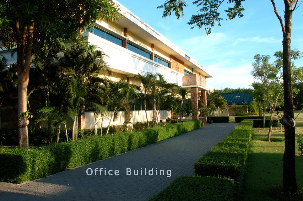 โรงงานและที่ดิน จังหวัดระยอง 1