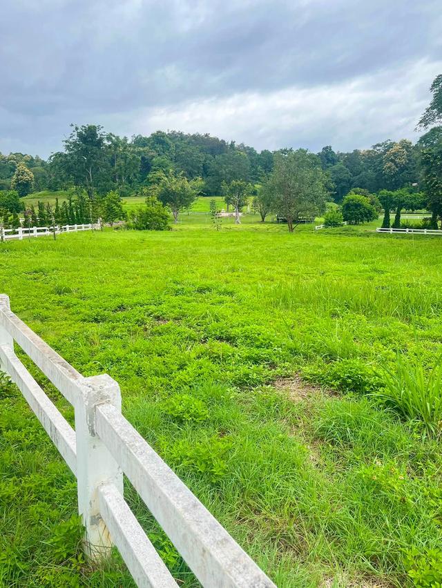 📣🏡 ที่ดินวิวดอย #บ้านปง อ.หางดง เชียงใหม่ 19