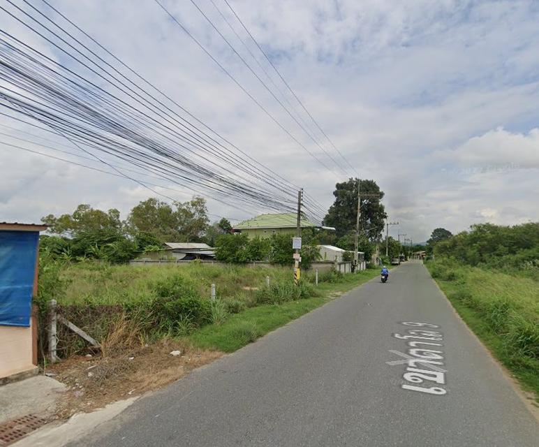 ขายที่ดินหนองปรือ พัทยา 391 ตรว. ซอยเขาตาโล9 ใกล้ถนนสุขุมวิท3-2.8กม. บางละมุง ชลบุรี 4