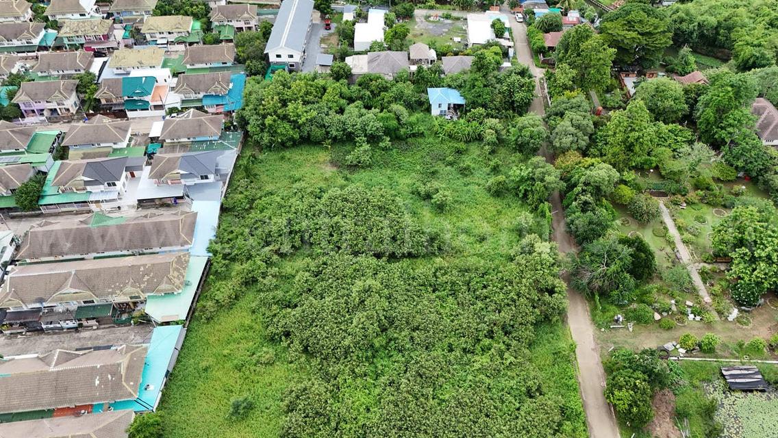 ที่ดินเปล่า 700 ตร.วา บางใหญ่ - นนทบุรี ถมแล้ว  3