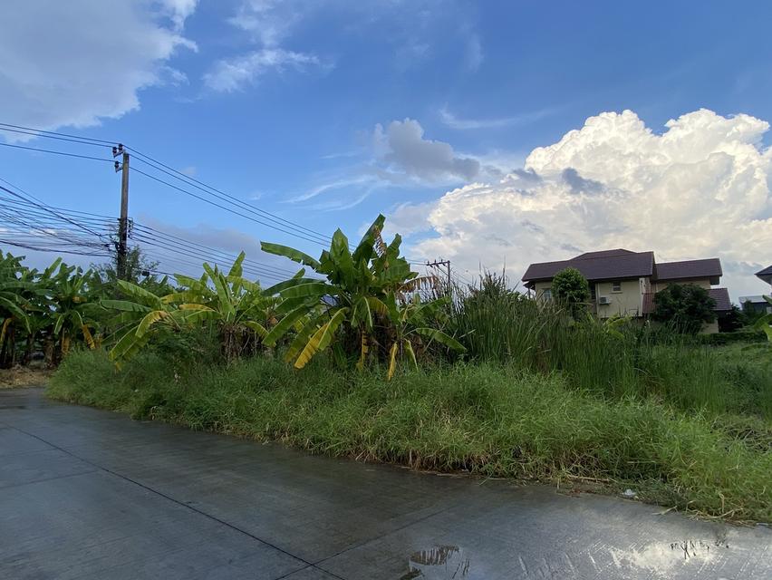 ที่ดินแปลงสวย ซอยสวนสยาม24 ถ.รามอินทรา 2