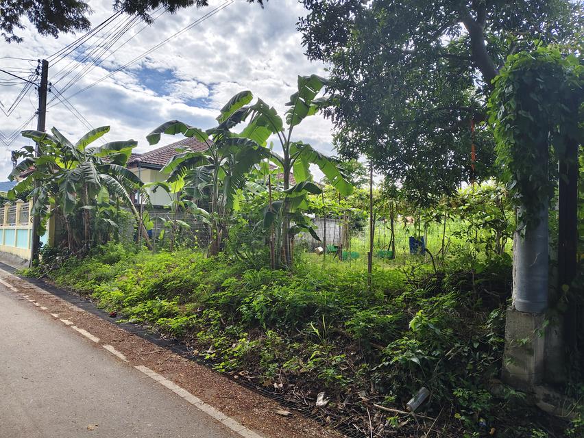 ขายที่ดินสัตหีบ 52 ตรว. ใกล้สุขุมวิท ราคาถูก 1