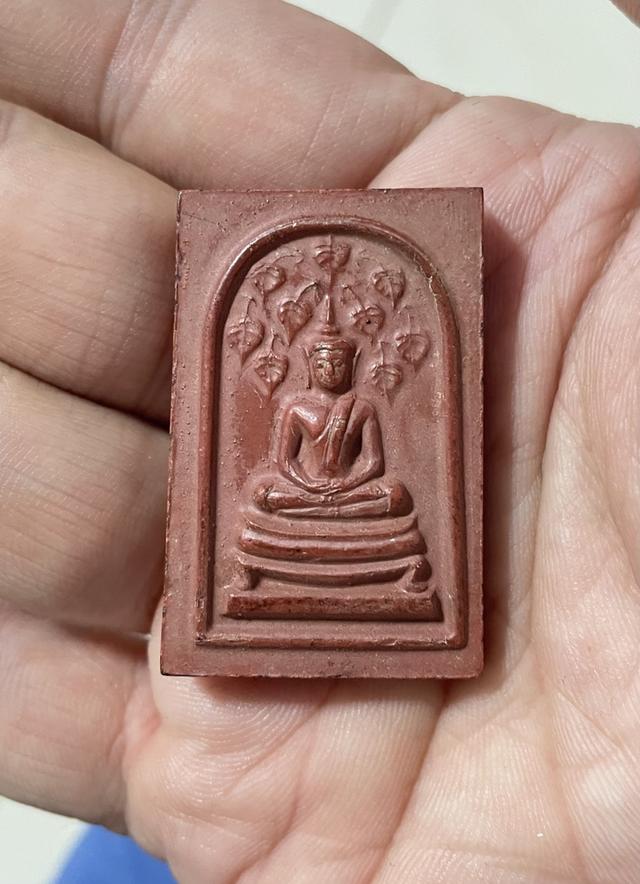 สมเด็จปกโพธิ์9ใบ หลวงพ่อกวย